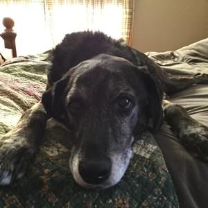 Meet your Posher, Josh